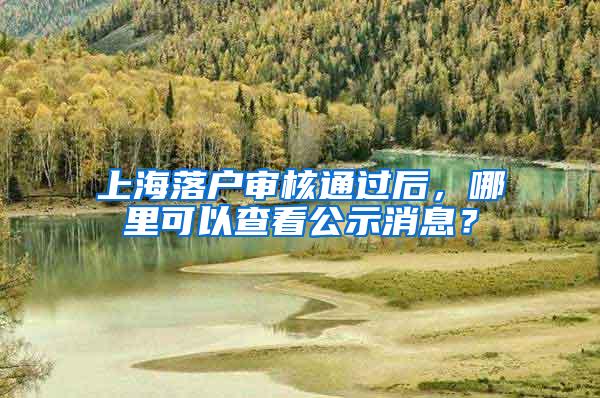 上海落户审核通过后，哪里可以查看公示消息？