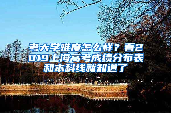 考大学难度怎么样？看2019上海高考成绩分布表和本科线就知道了