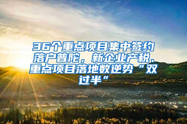 36个重点项目集中签约落户普陀，新企业产税、重点项目落地数逆势“双过半”