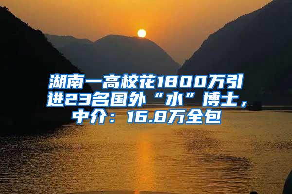 湖南一高校花1800万引进23名国外“水”博士，中介：16.8万全包