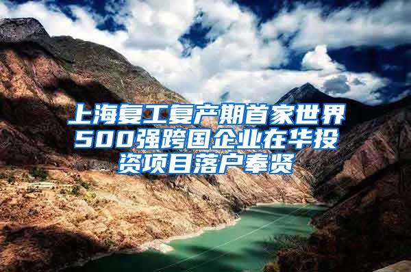 上海复工复产期首家世界500强跨国企业在华投资项目落户奉贤