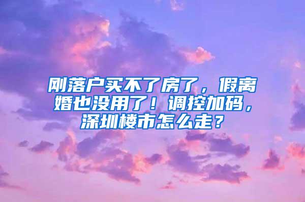 刚落户买不了房了，假离婚也没用了！调控加码，深圳楼市怎么走？