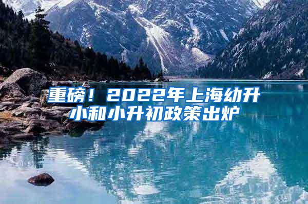 重磅！2022年上海幼升小和小升初政策出炉