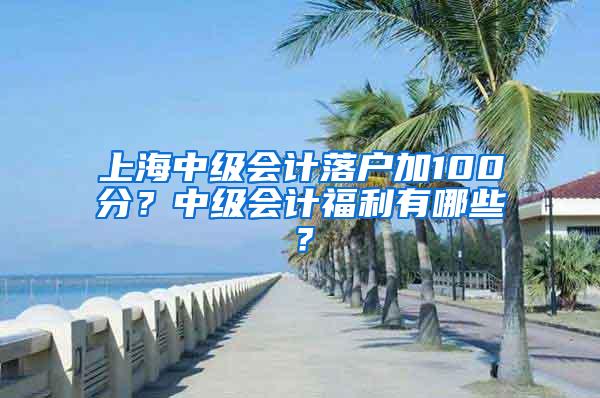 上海中级会计落户加100分？中级会计福利有哪些？