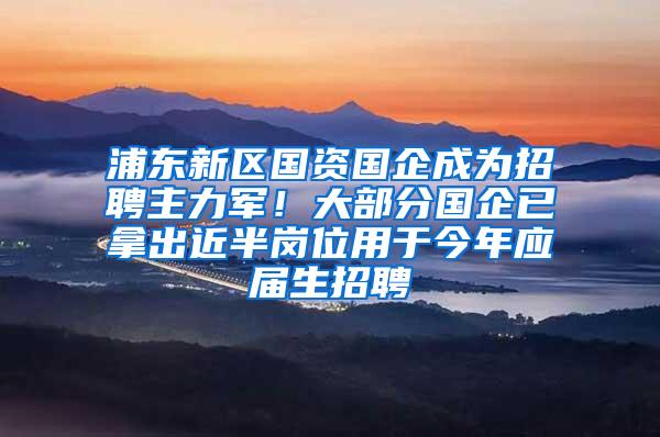 浦东新区国资国企成为招聘主力军！大部分国企已拿出近半岗位用于今年应届生招聘