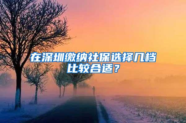 在深圳缴纳社保选择几档比较合适？
