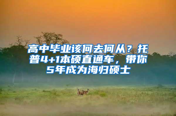 高中毕业该何去何从？托普4+1本硕直通车，带你5年成为海归硕士