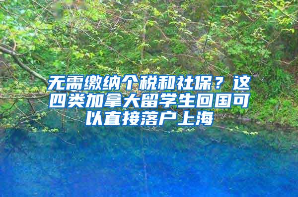 无需缴纳个税和社保？这四类加拿大留学生回国可以直接落户上海