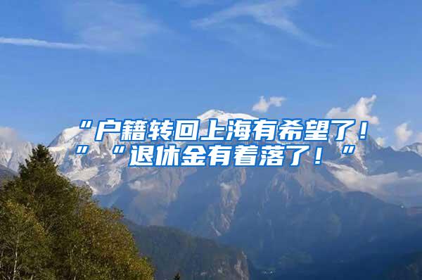 “户籍转回上海有希望了！”“退休金有着落了！”