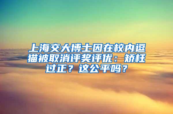 上海交大博士因在校内逗猫被取消评奖评优：矫枉过正？这公平吗？