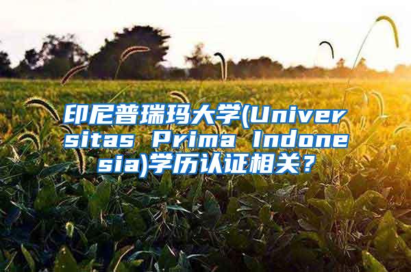 印尼普瑞玛大学(Universitas Prima Indonesia)学历认证相关？