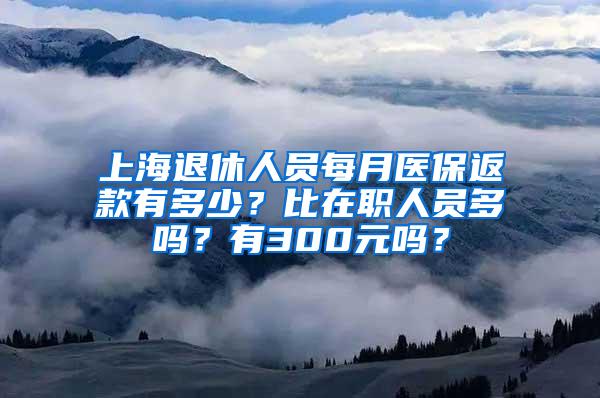 上海退休人员每月医保返款有多少？比在职人员多吗？有300元吗？