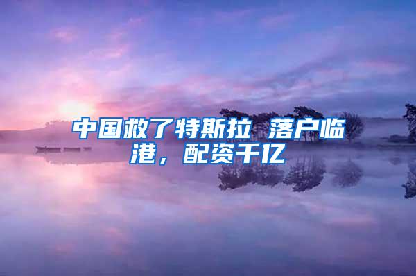 中国救了特斯拉 落户临港，配资千亿