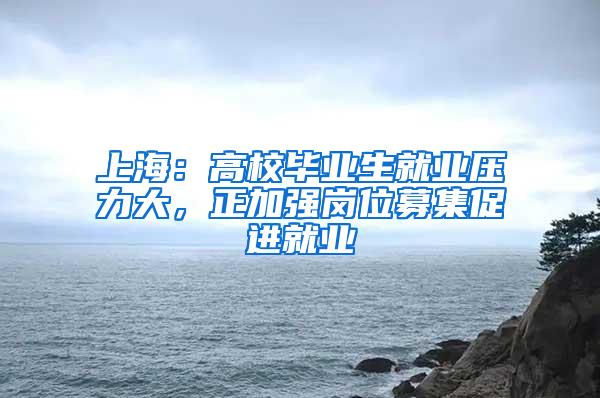 上海：高校毕业生就业压力大，正加强岗位募集促进就业