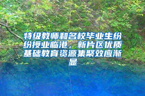 特级教师和名校毕业生纷纷授业临港，新片区优质基础教育资源集聚效应渐显