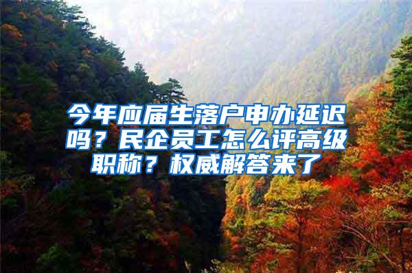 今年应届生落户申办延迟吗？民企员工怎么评高级职称？权威解答来了