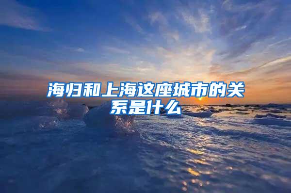 海归和上海这座城市的关系是什么