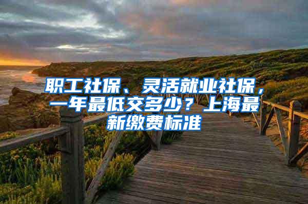 职工社保、灵活就业社保，一年最低交多少？上海最新缴费标准