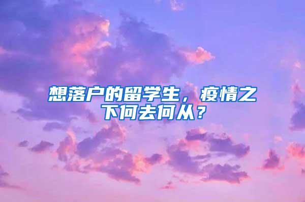 想落户的留学生，疫情之下何去何从？