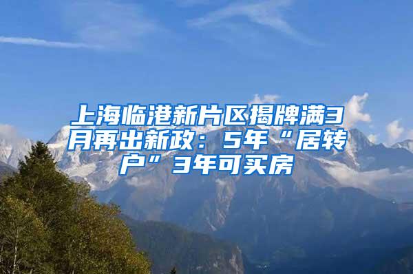 上海临港新片区揭牌满3月再出新政：5年“居转户”3年可买房