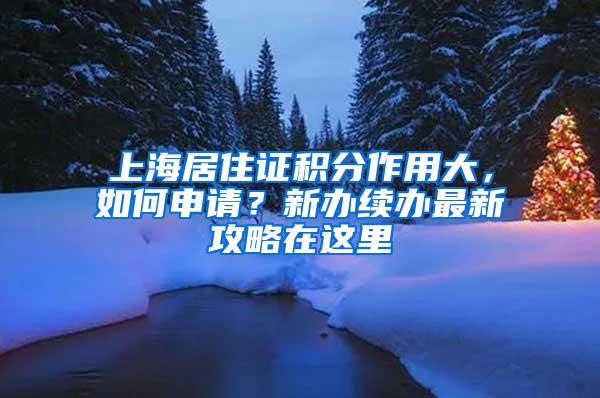 上海居住证积分作用大，如何申请？新办续办最新攻略在这里