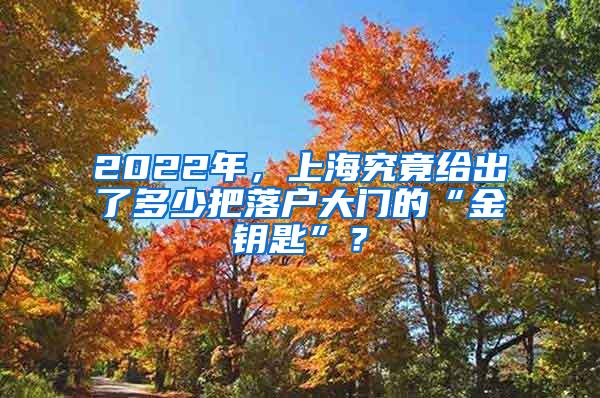 2022年，上海究竟给出了多少把落户大门的“金钥匙”？