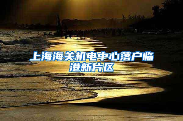 上海海关机电中心落户临港新片区