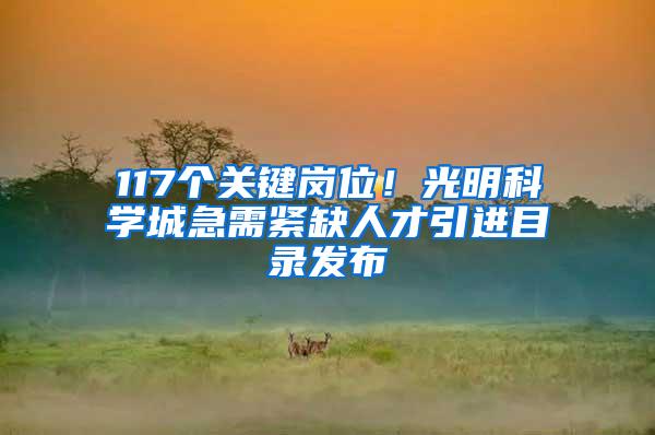 117个关键岗位！光明科学城急需紧缺人才引进目录发布