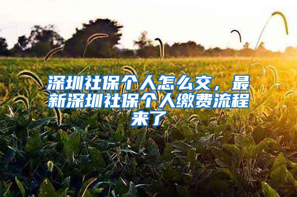 深圳社保个人怎么交，最新深圳社保个人缴费流程来了