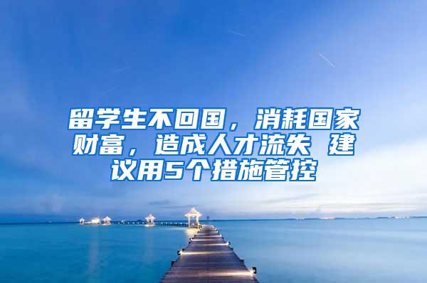 留学生不回国，消耗国家财富，造成人才流失 建议用5个措施管控