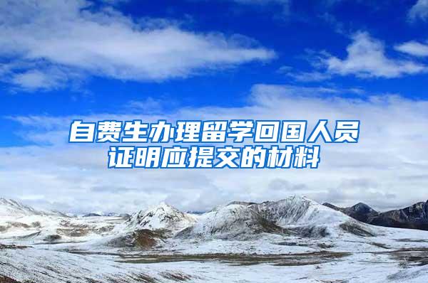 自费生办理留学回国人员证明应提交的材料