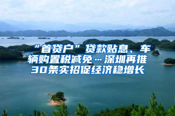 “首贷户”贷款贴息、车辆购置税减免…深圳再推30条实招促经济稳增长