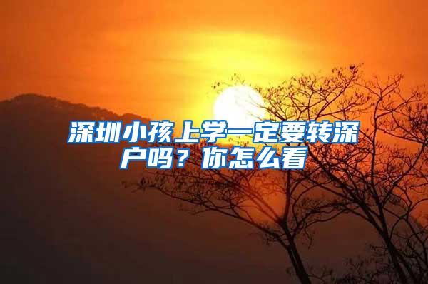 深圳小孩上学一定要转深户吗？你怎么看