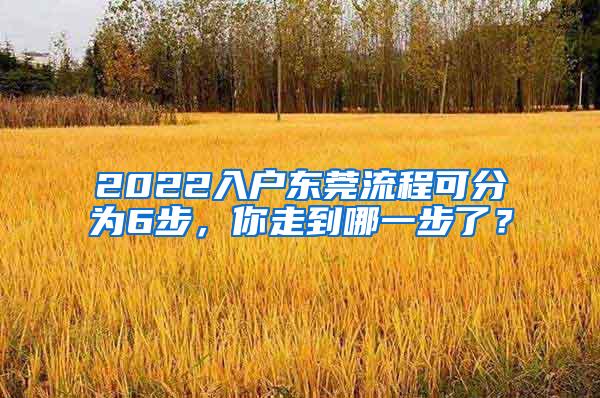 2022入户东莞流程可分为6步，你走到哪一步了？