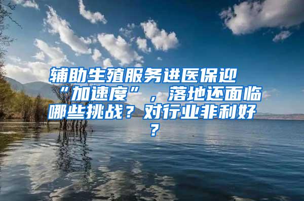 辅助生殖服务进医保迎“加速度”，落地还面临哪些挑战？对行业非利好？