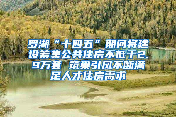 罗湖“十四五”期间将建设筹集公共住房不低于2.9万套 筑巢引凤不断满足人才住房需求