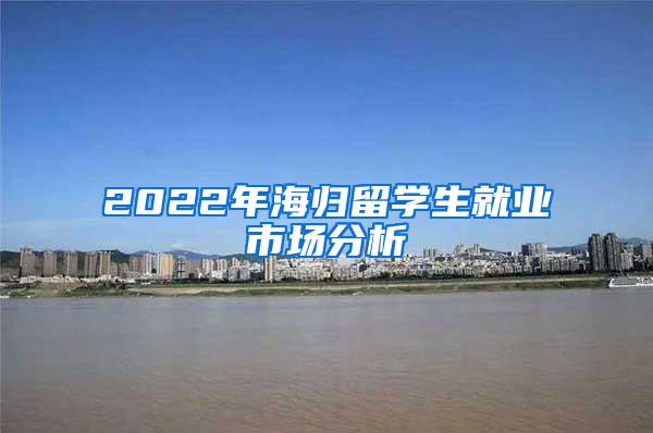 2022年海归留学生就业市场分析