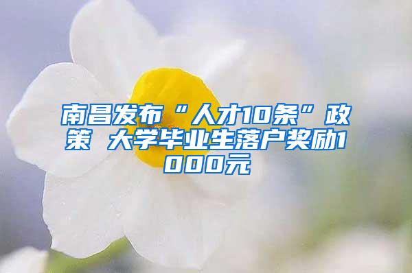 南昌发布“人才10条”政策 大学毕业生落户奖励1000元