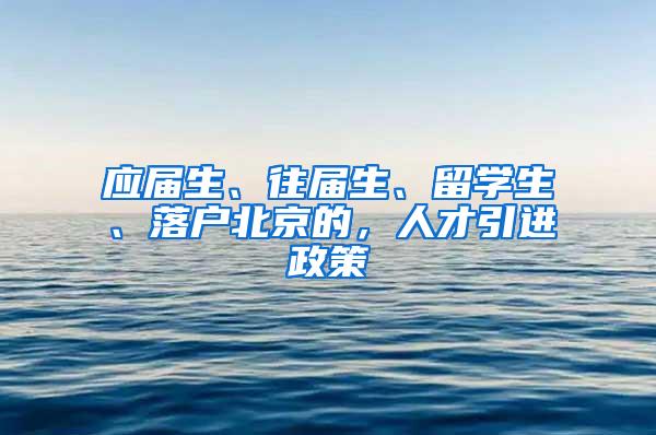 应届生、往届生、留学生、落户北京的，人才引进政策