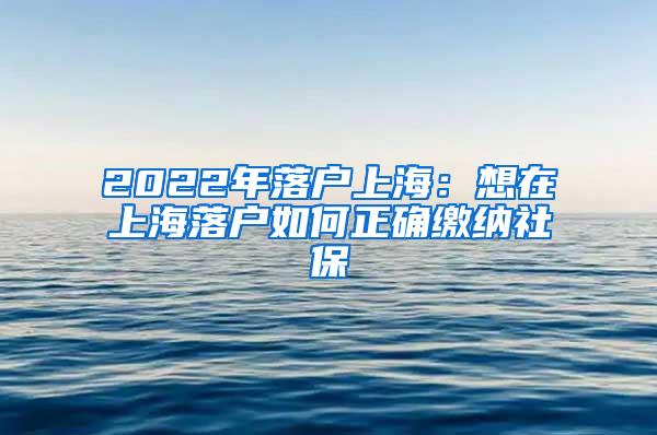 2022年落户上海：想在上海落户如何正确缴纳社保