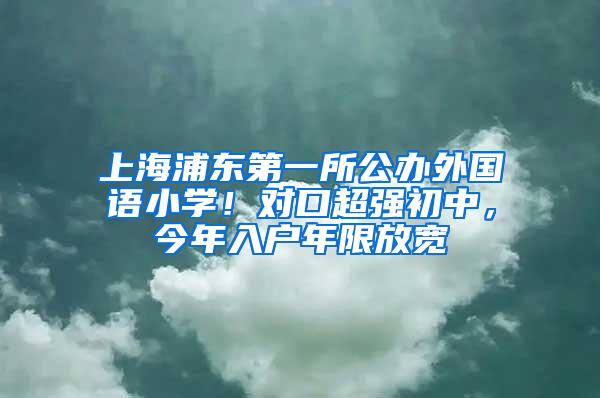 上海浦东第一所公办外国语小学！对口超强初中，今年入户年限放宽