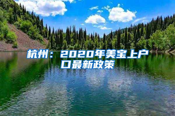 杭州：2020年美宝上户口最新政策