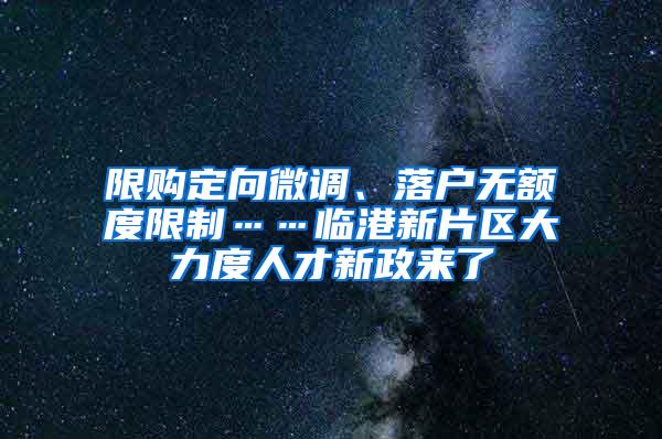 限购定向微调、落户无额度限制……临港新片区大力度人才新政来了