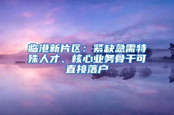 临港新片区：紧缺急需特殊人才、核心业务骨干可直接落户