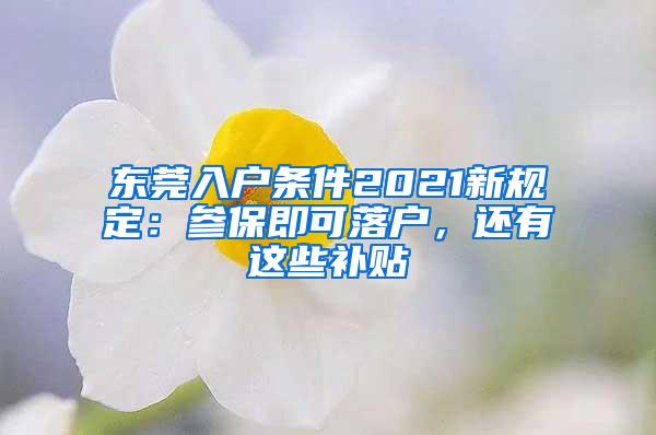 东莞入户条件2021新规定：参保即可落户，还有这些补贴