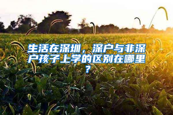 生活在深圳，深户与非深户孩子上学的区别在哪里？