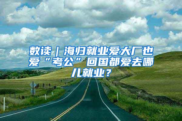 数读｜海归就业爱大厂也爱“考公”回国都爱去哪儿就业？