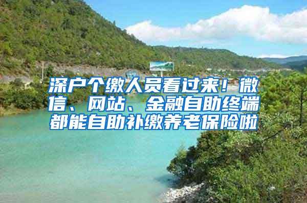 深户个缴人员看过来！微信、网站、金融自助终端都能自助补缴养老保险啦