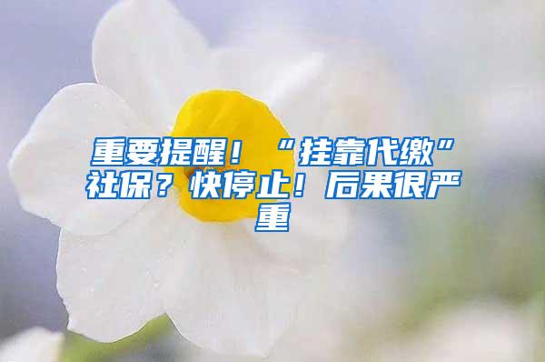 重要提醒！“挂靠代缴”社保？快停止！后果很严重