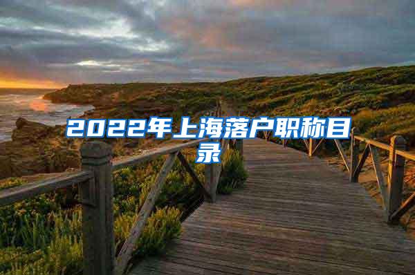 2022年上海落户职称目录